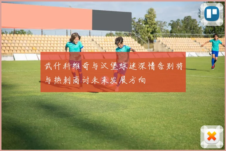 武什科维奇与汉堡球迷深情告别将与热刺商讨未来发展方向
