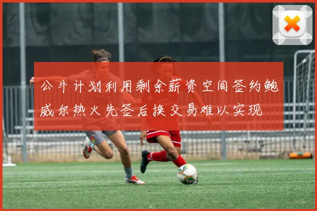 公牛计划利用剩余薪资空间签约鲍威尔热火先签后换交易难以实现